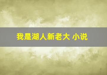 我是湖人新老大 小说